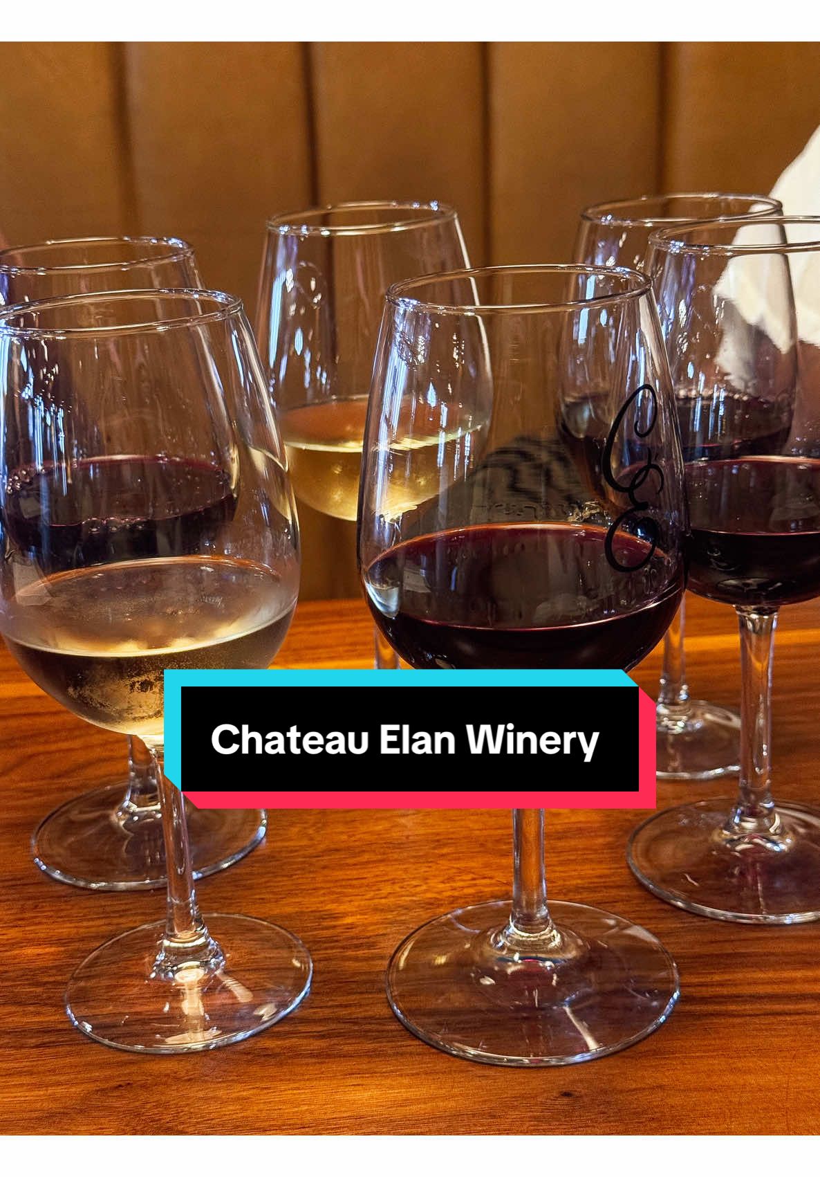 Chateau Elan Winery has the best wine ! 🍷 we had a great time. I definitely recommend checking this winery out in Georgia.  #chateauelan #winery #chateauelanwineryandresort #viral #thingstodoingeorgia 