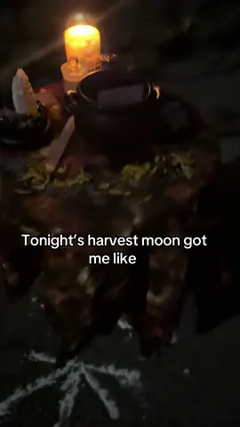 #harvestmoon 