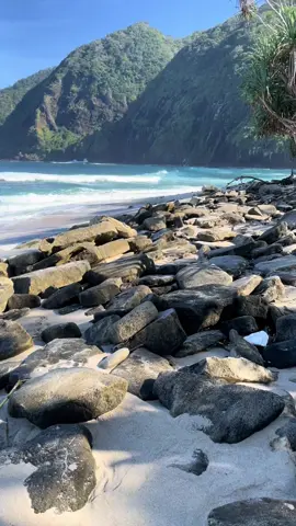 #papuma #papumabeachjember #naturevibes 