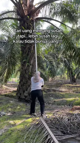 Hampir aja kenna haha #fyp 