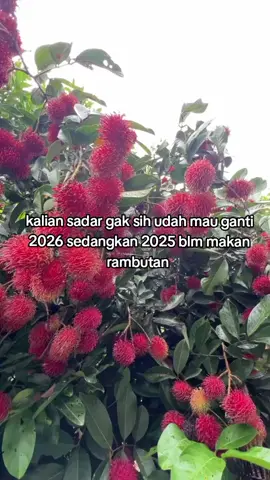 ada yang sama gak?? #fyp #vibes #2025 #2026 #viral 