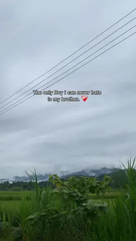 ❤️‍🩹#related #fyp 