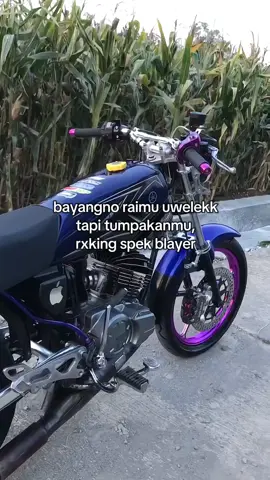 nambah dameg🗿#rxkingspekblayer #rxkingindonesia #spekblayer #rxking #blayer135cc 
