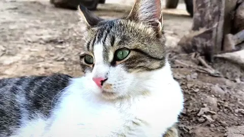 #تصويري #fypage 