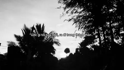 Sợ đau thôi kh thì tôi đi lâu rồi 🖤#apluc 