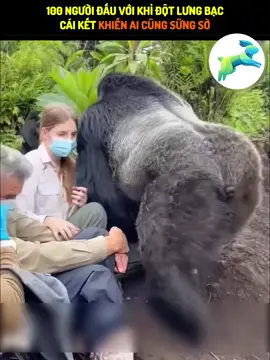 100 người đấu với khỉ đột lưng bạc cái kết khiến ai cũng sững sờ #TikTokAwardsVN #viral #tiktok #trending #viralvideo #viraltiktok #tiktokviral #trend #xuhuong #xuhuongtiktok #thinhhanh 