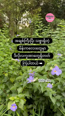 အချစ်ကြီးပြီးသစ္စာရှိတဲ့မိန်းကလေးတွေမှာ ဒီလိုလက္ခဏာတွေရှိကြပါတယ်>>> #nantehlinn  #သုတရသစာစုများ  #foryou  #fpy  #foryoupage 