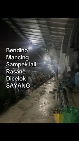 Tak nyelok tukang sendok ae #fyp #rilisanlelejawatimur #pemancinggayabebas #galatamalele #galatamalele 