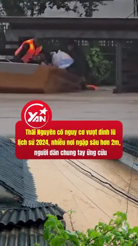 Thái Nguyên có nguy cơ vượt đỉnh lũ lịch sử 2024, nhiều tuyến phố ngập sâu hơn 2 mét, chính quyền và người dân vẫn đang gấp rút ứng phó, không ai bị bỏ lại giữa dòng nước lũ #yan #yannews #tiktoknews #luthainguyen 