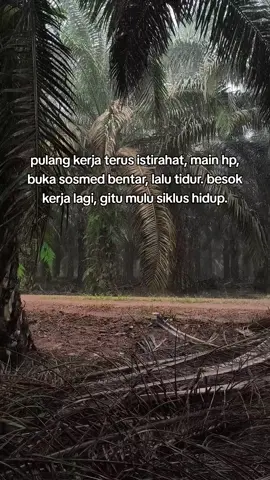 #bismillahfyp #fypage #kulisawit #vibessawit #4u 
