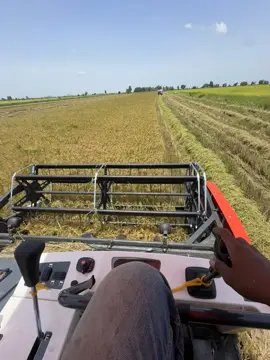 😞😞#កូនអ្នកបន្ទាយមានជ័យ🇰🇭 #dc108x #សុំរាប់អានផងមេៗ🙏😘😍 