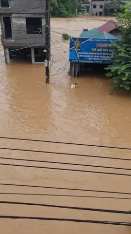 thương lắm Hà Giang ơi 😥