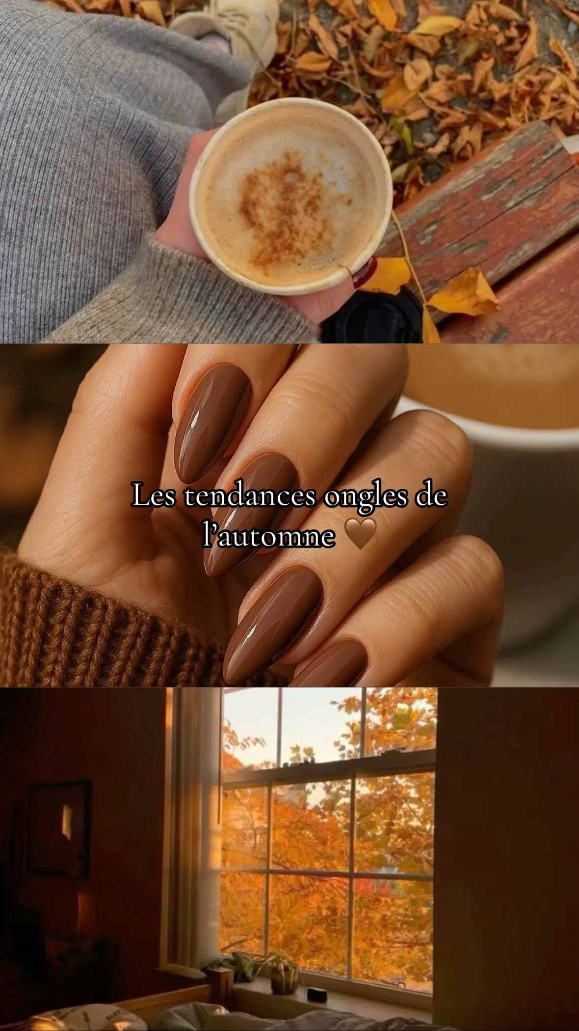 Mes inspirations ongles pour l’automne 🐿️🌰🤎 #nailsinspo #fallnails #nailsart #ongle #fyp