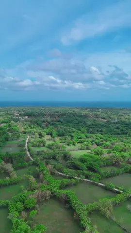 Keindahan alam dan air lautnya yang seakan memanjakan mata serta me refreshing pikiran, tidak kalah indahnya dengan pemandangan pulau Gili Labak🥰✨ Cr/Tiktok : omdaengg 📍Pulau Sapudi, Sumenep, Madura, East Java #wonderfulmadura #pesonamadura #fypシ゚  #pulaumadura #sumenep 