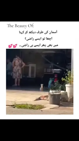 🙌🏻