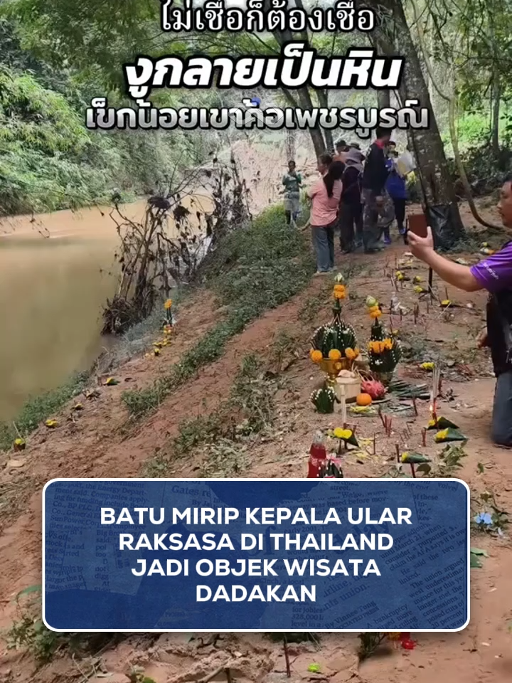 Sebuah batu besar di tepi Sungai Khek, Thailand, viral karena bentuknya mirip kepala ular raksasa. Batu yang dijuluki “Naga Tidur” ini punya tekstur menyerupai sisik dan bentuk kepala menonjol, sehingga terlihat seperti ular sungguhan dari kejauhan. Penemuan ini langsung menarik perhatian warga lokal dan wisatawan. Sebagian mengaitkannya dengan legenda Phaya Naga — makhluk mitologi penjaga sungai di kepercayaan Thailand. Namun, para ahli geologi menjelaskan fenomena ini kemungkinan besar disebabkan oleh erosi alami batuan kapur di kawasan pegunungan Phetchabun. Meski begitu, mitos dan kepercayaan masyarakat justru membuat batu ini semakin ramai dikunjungi. #InfinityFeeds #Thailand #PhayaNaga