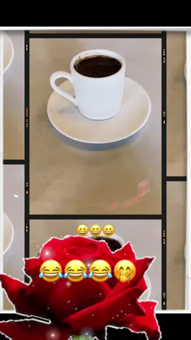 الخالدية 👌🏻🍃🍃🌹🌹#اكسسسبلووووور🌹🌹 #اكسسسبلووووور🌹🌹 #اكسسسبلووور 