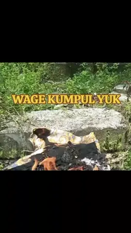 sabtu wagee dsini... yuukk mrapat  para wage.. gmn ap klian msih pd sehat otak dan pikiranx😥😥#CINTASUASTU😘 