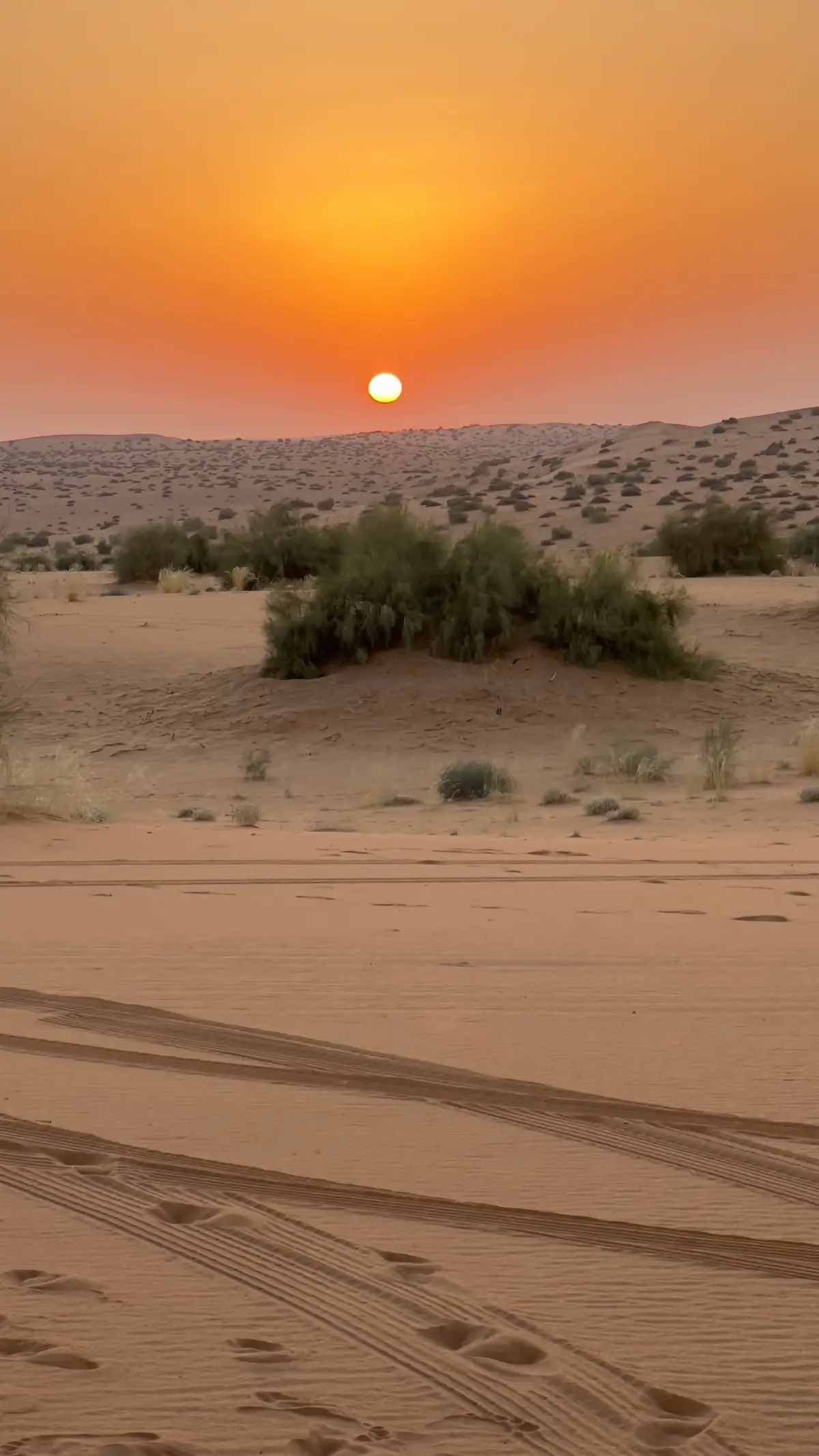#يا صباح الخير يا نور الصباح🔥 السعودية🇸🇦 منطقة الجوف🌿 تبوك الوارد💐 النفود الكبير🌹