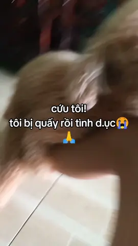 càng đau đớn hơn khi nhận ra đó là con chó cái:_)