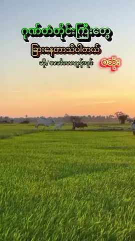 #ဂုဏ်တံတိုင်းငွေတံတိုင် #တေးဆို / ဟင်္သာရထွန်းရင်#မြန်မာသံစဉ်ချစ်မြတ်နိုးသူ #စဆုံးပါ