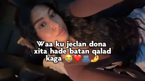 macan 😍❤️ #viral #fyp #foryoupage #veiwsproblem #tiktok 😍❤️