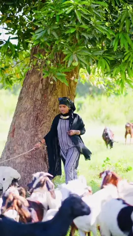 dhul barwaaqo jowhar🥰💚💙🤍#muwadotiktok #kaazim11 