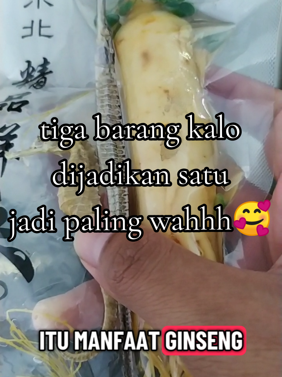 paket gingseng +KL+ NL #gingseng #suplemen #herbal #minumansehat #sehatbertenaga 