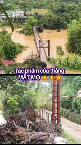 Hậu quả của Mặt mo #chomeo #thucung #xuhuongtiktok 