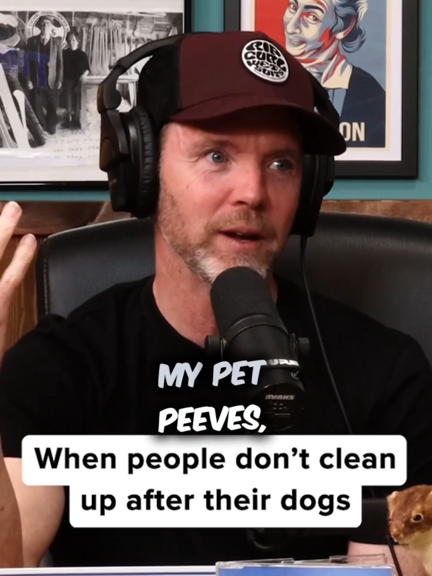 Tis one of the worst things you can do! Not pick up after your dog. Well Dermot Whelan joined us on the podcast this week, and told us about a time he ended up in a Clare local newspaper for chasing after someone who didn't pick up after their dog. #dog #dogwalking #dogwalker #doggo #dogsoftiktok