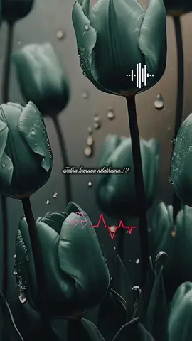 #fyp #foryoupage❤️❤️ #tik_tok #tamilsong #capcut_edit