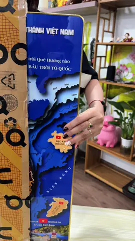 Tranh bản đồ Việt Nam tráng gương #tranhbandovietnam #bandovietnam #xuhuong #TikTokAwardsVN #trachanh89 