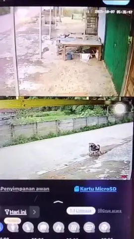 Aksi kawanan begal beraksi di kawasan Jalan R Dentjik Asaari Talang Kelapa PAlembang, Selasa (7/10/2025) pagi. Terekam kamera CCTV dua bandit begal merampas sepeda motor milik emak-emak baju kuning. #fyp #palembang 