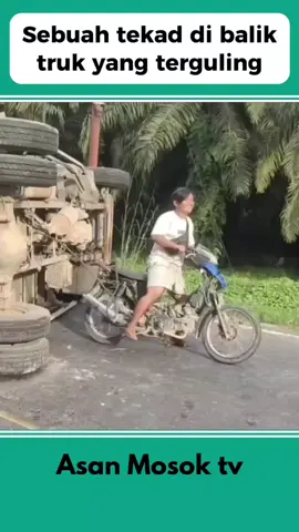 Seorang pemuda & truk Canter yang terguling #truck #oleng #motor #pemuda #kebun #sawit #tiktok #fyp #trending #viral #fyppppppppppppppppppppppp 
