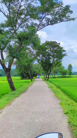 গ্রাম মানেই প্রাকৃতিক সৌন্দর্য।🌿🥰🩷 #Foryou #Foryoupage #netural #tiktok #viralvideo 