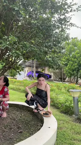 Thu hoạch trái cây phần 2 #ncollagen 