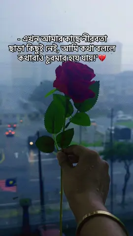 Part 91 | 🌹 #CapCut #100kviews #mituuchy #bdtiktokofficial🇧🇩 #bangladesh🇧🇩 @TikTok Bangladesh @TikTok 