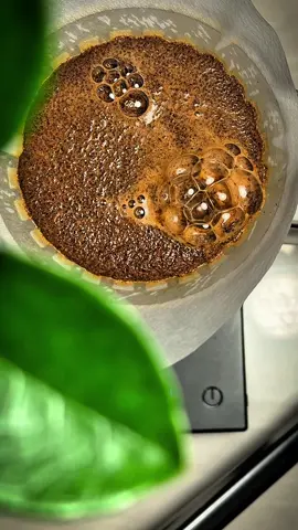 #your_coffee #viral #fyp #v60 #تصوير 