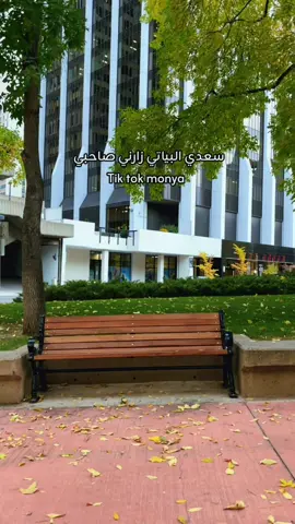 #عراقيه❤وافتخر😌✌🇮🇶👑 #سعدي_البياتي #موال #الزمن_الجميل #فُلّة👑  @💛 ᗰOᑎYᗩ💛  @💛 ᗰOᑎYᗩ💛  @💛 ᗰOᑎYᗩ💛 