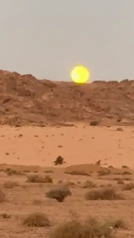 #قمر #قمرا #15