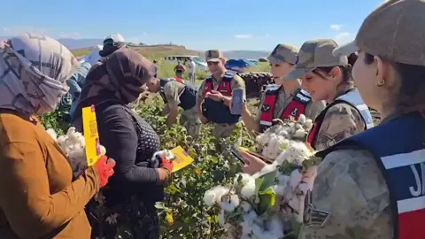 Pamuk tarlasında çalışan işçilere yönelik KADES uygulaması tanıtımı ve bilgilendirme faaliyeti gerçekleştirilmiştir. Faaliyet kapsamında kadınlara KADES uygulamasının önemi anlatılmış, kadına yönelik şiddetle mücadelede farkındalık oluşturulmuştur.                                                       #Hatay  #KADES #Kadınaelkalkamaz                                                              #Jandarma  #jandarmaAsayiş 