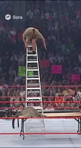 Steve Irwin vs The Stingray in a TLC Match #steveirwin #sora #ai #fyp #WWE 