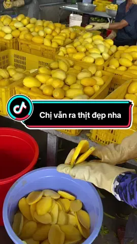 Ai nói lớn tuổi là không làm được cắt gọt xoài???#xoaisaydeoducphat #xoaisaydeo #xoaisaymuoiot #xuhuong #fyp 