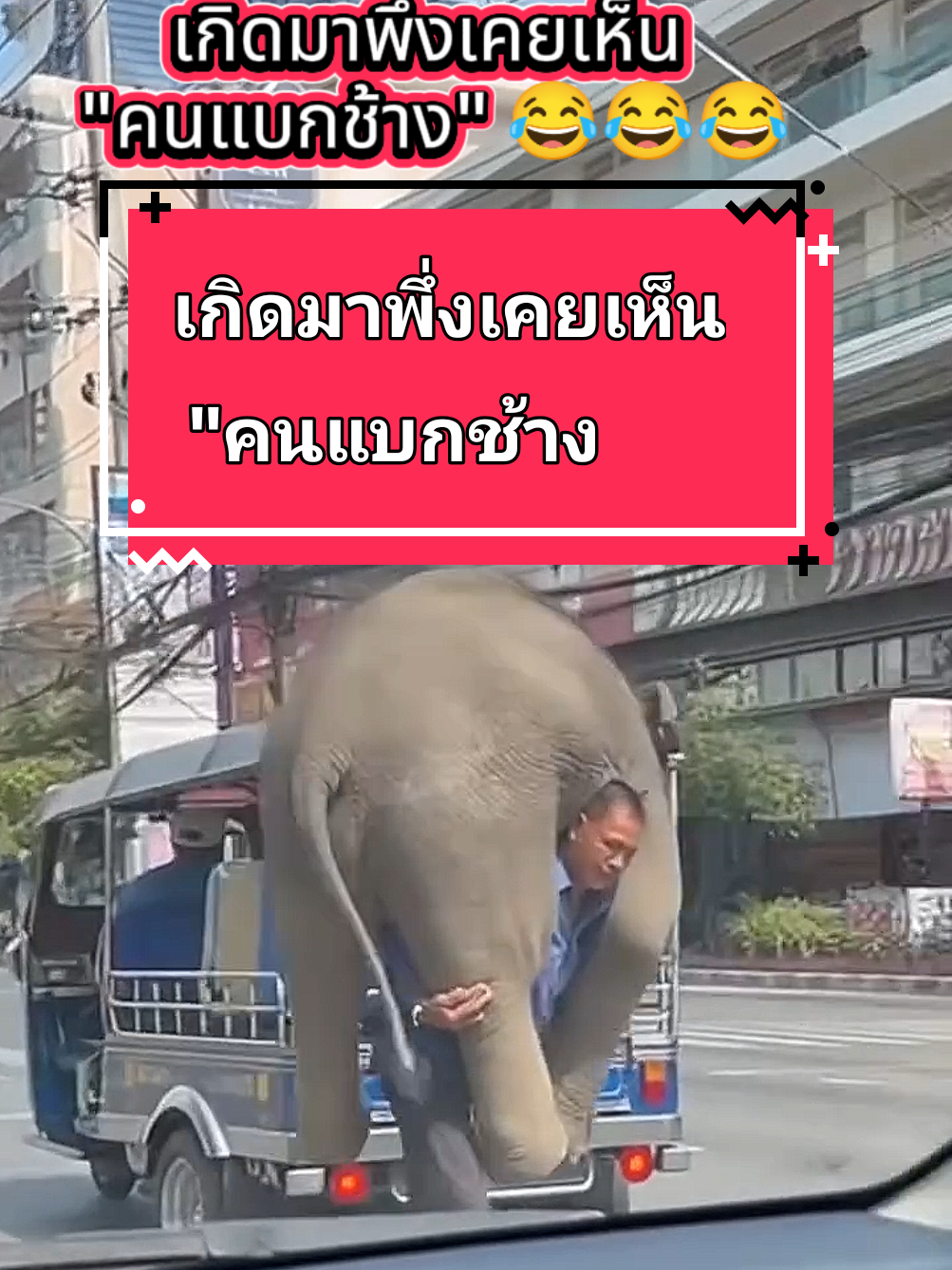 เกิดมาพึ่งเคยเห็น 