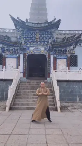 中国功夫十八般武艺每天更新 #martialarts #JackieChan #Chinese Kung Fu#kungfu
