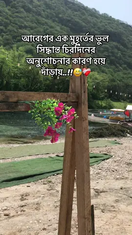 আবেগের এক মুহূর্তের ভুল সিদ্ধান্ত,, চিরদিনের অনুশোচনার কারণ হয়ে দাঁড়ায়..!!😅❤️‍🩹