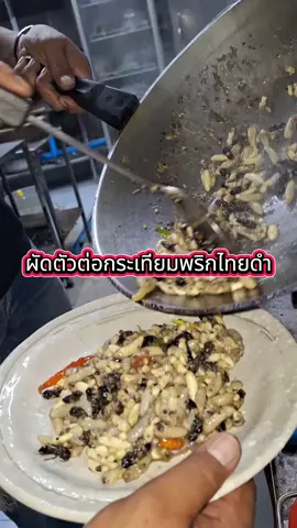 ต่อหัวเสีอผัดกระเทียมพริกไทย บ้านตีหม้อเคาะกระทะหาดใหญ่