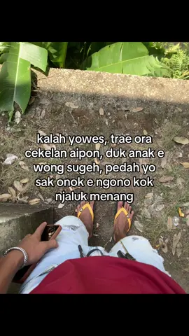 pokok stecu✌🏻
