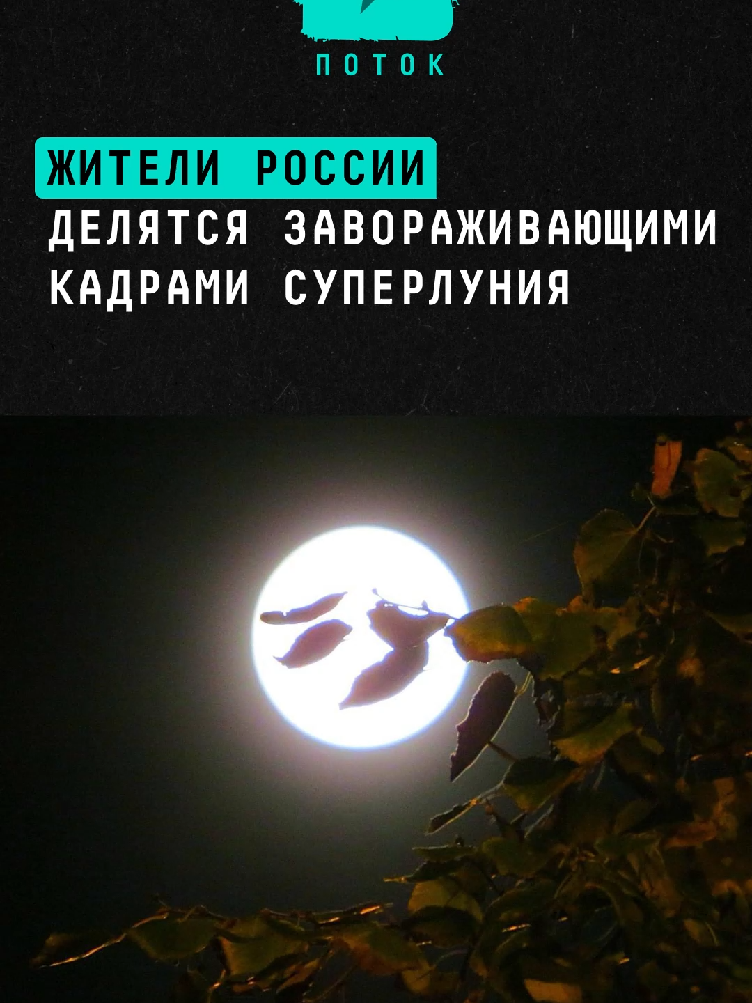Жители всей России делятся завораживающими кадрами суперлуния #новости #поток #луна #суперлуние #россия #астрономия