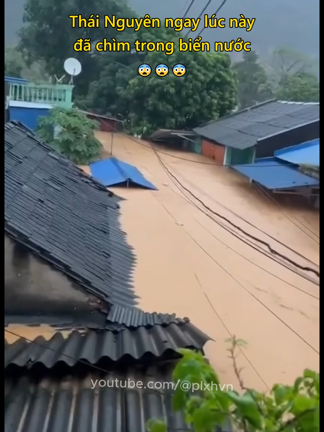 Thái Nguyên ngay lúc này đã chìm trong biển nước 😨 #thoitiet #thainguyen #mualu #ngaplut #plxhvn #phapluatxahoi